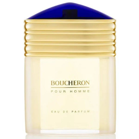 Boucheron Homme Eau De Parfum Vaporisateur 100ml - Afanaya