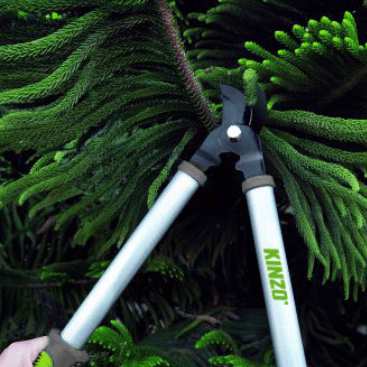 Branch Clippers 48Cm - Afanaya