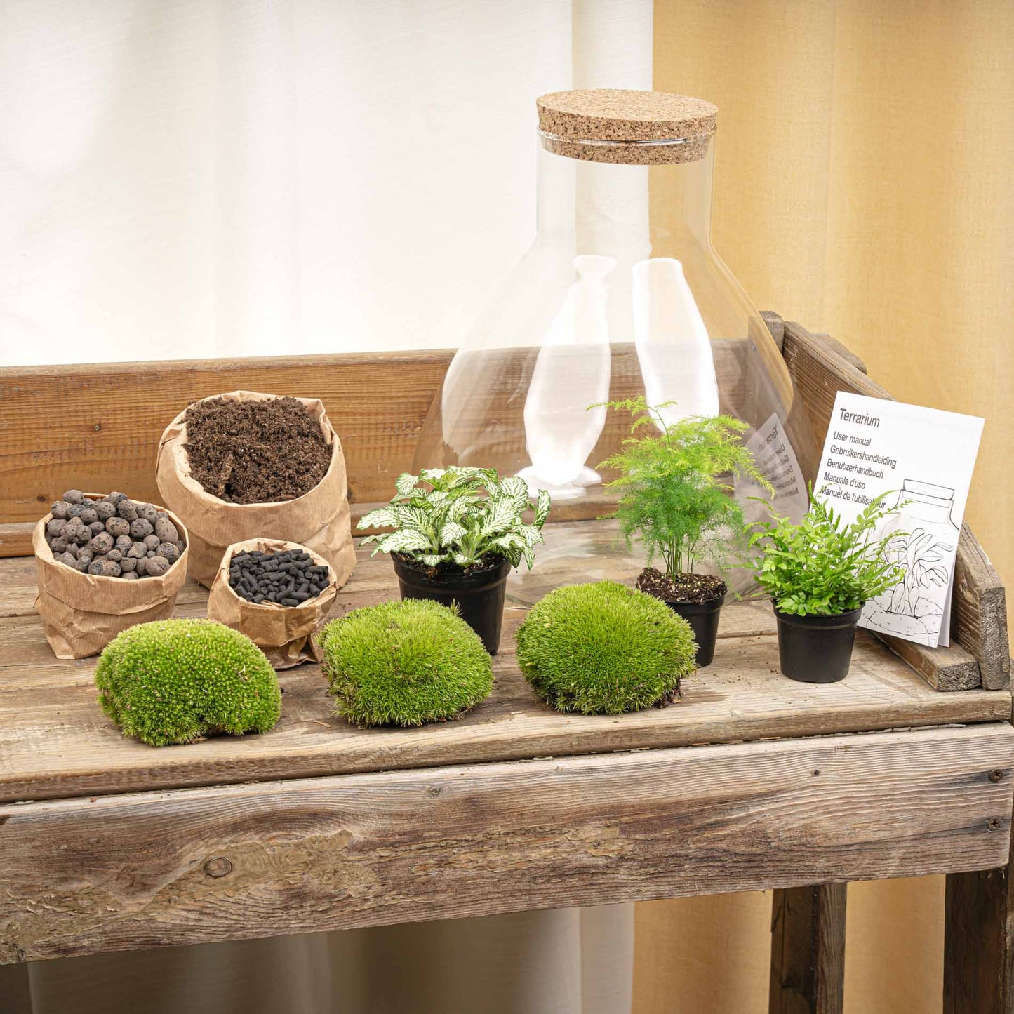 DIY Bottle Garden Kit Sam XL 35 cm Glass Terrarium with Plants - Afanaya