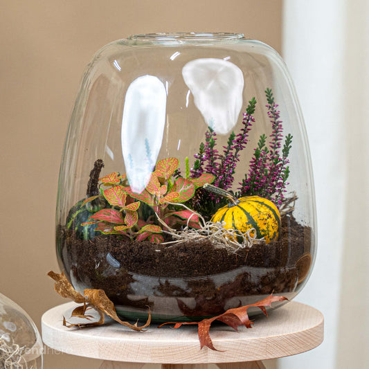 Emma Autumn - Glass Bottle With Autumn Plants And Mini Pumpkins - Autumn Bottle Garden Diy Kit - Ø 23 Cm ↑ 25 Cm - Afanaya