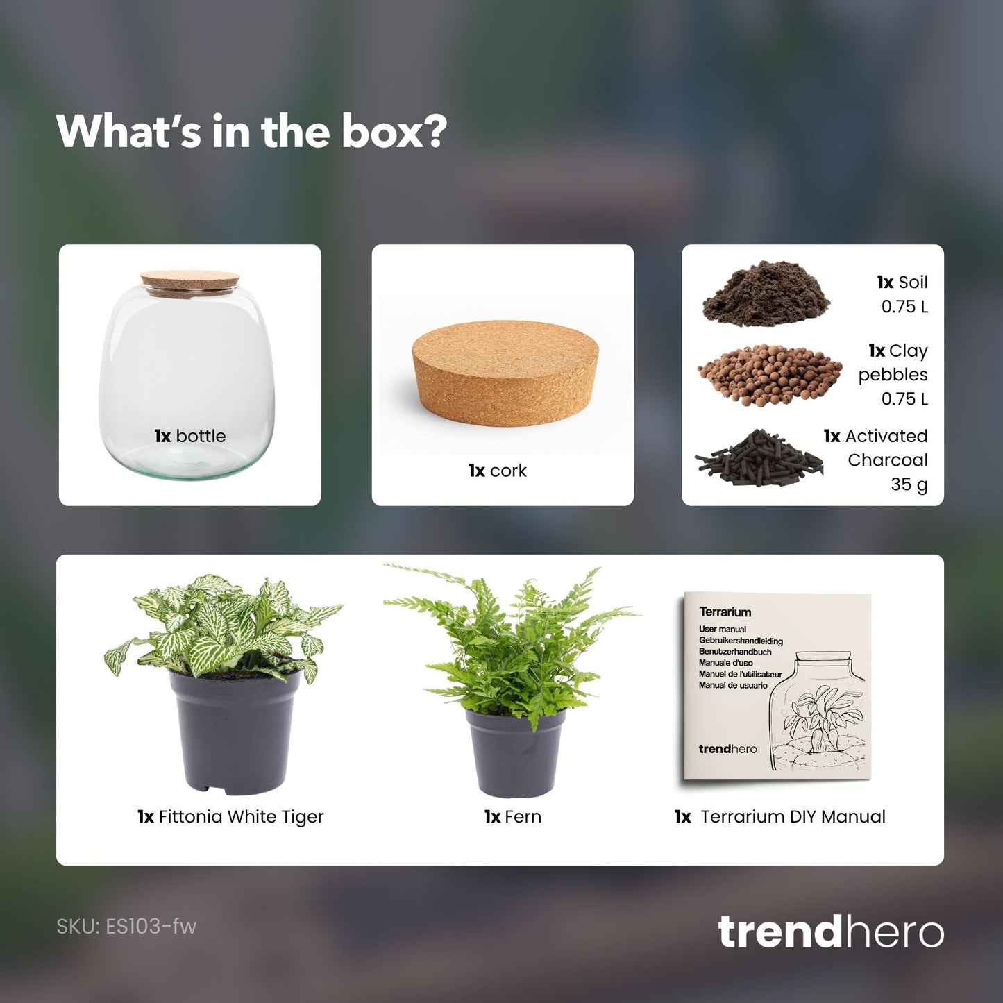 Emma Mini - Terrarium With Cork - Bottle Garden Diy Kit - Ø 19 Cm ↑ 20 Cm - Afanaya