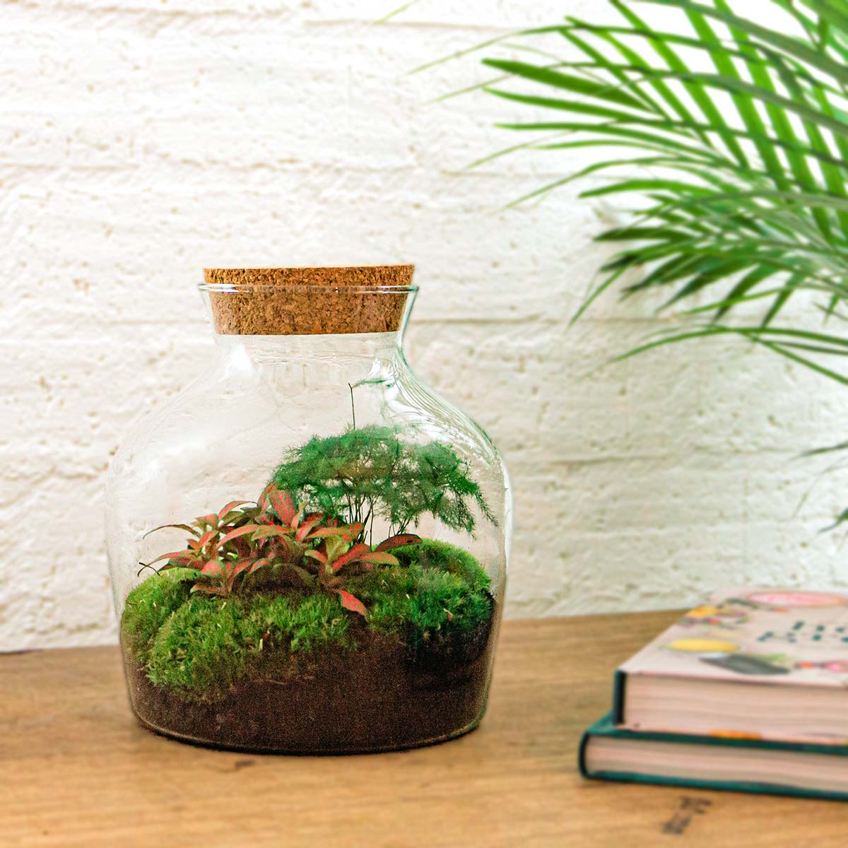 Kit de bricolage pour terrarium Little Joe avec LED, bouteille en verre de 21,5 cm, jardin avec Hedera et Fittonia blanc