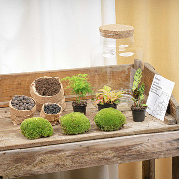 Terrarium DIY Kit Milky Bottle Garden 30 cm Height Indoor Plant Decoration - Afanaya