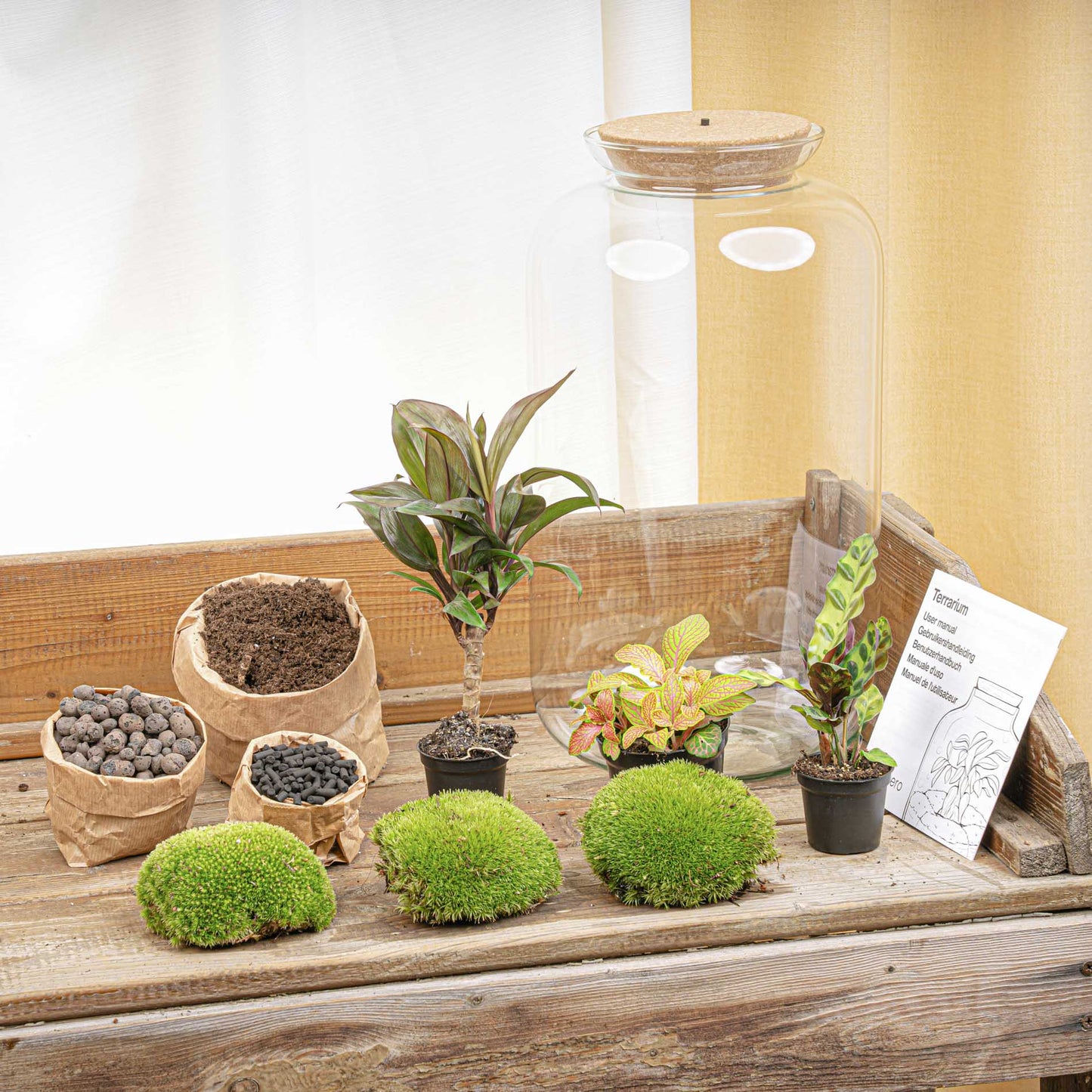 Terrarium DIY Kit – Sven XL Bottle Garden with Palm & LED Lighting Large Indoor Plant Décor Height 43 cm - Afanaya