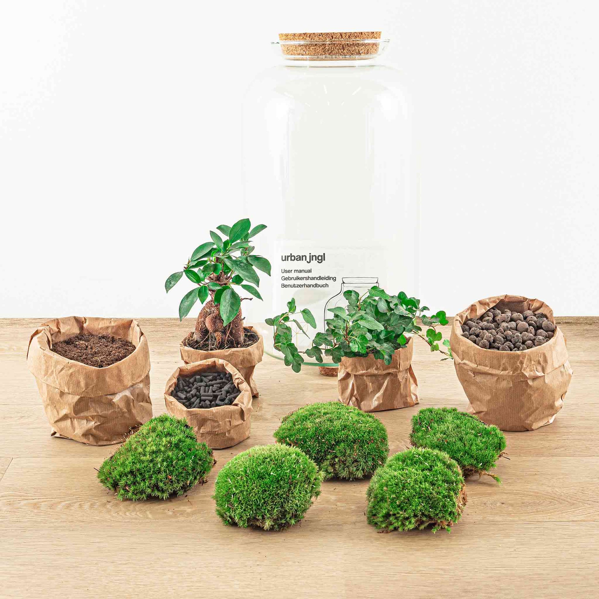 Terrarium Diy Kit - Sven Hedera Bonsai - Bottle Garden - ↑ 43 Cm
