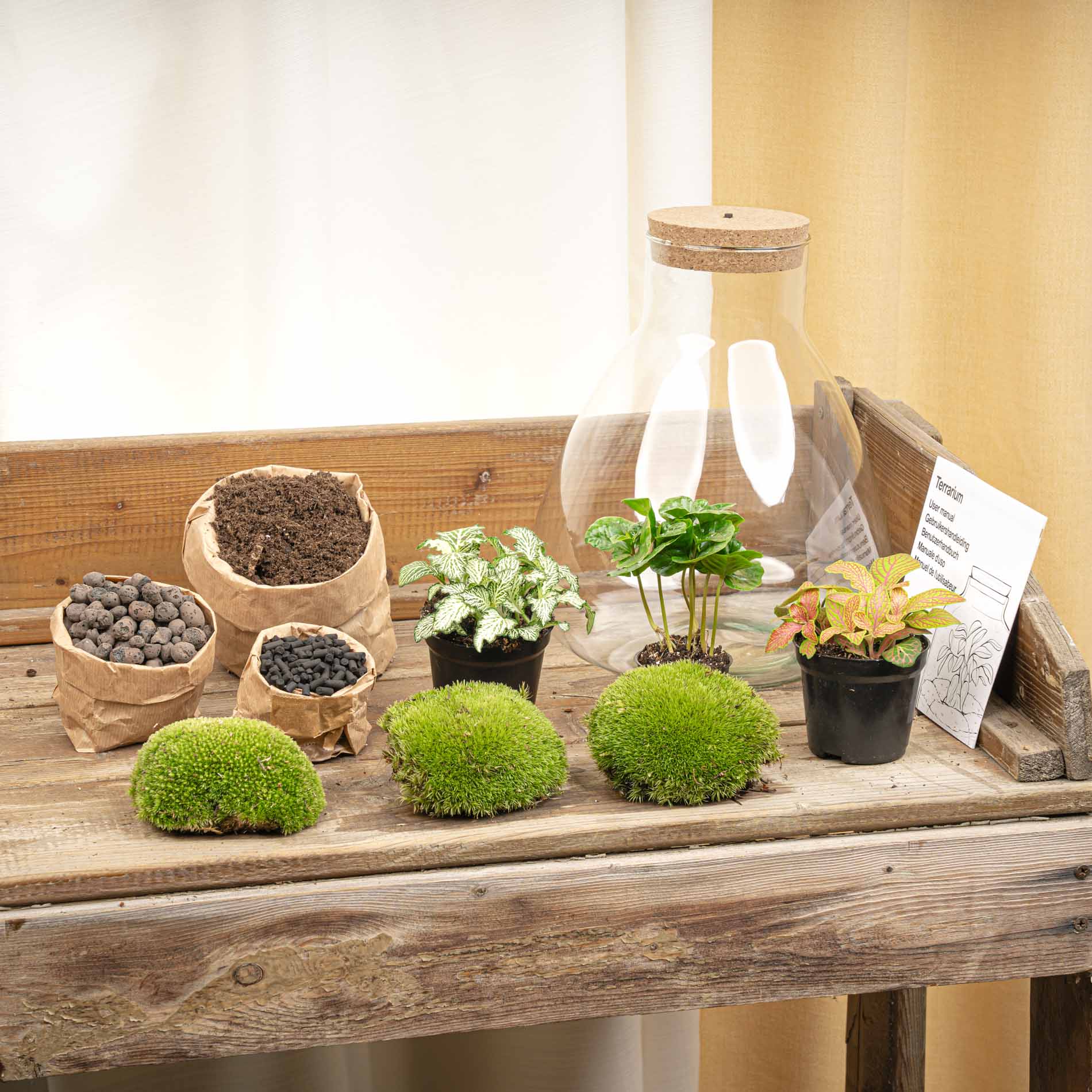 Terrarium Diy Kit - Sam Coffea With Light - Bottle Garden - ↑ 30 Cm