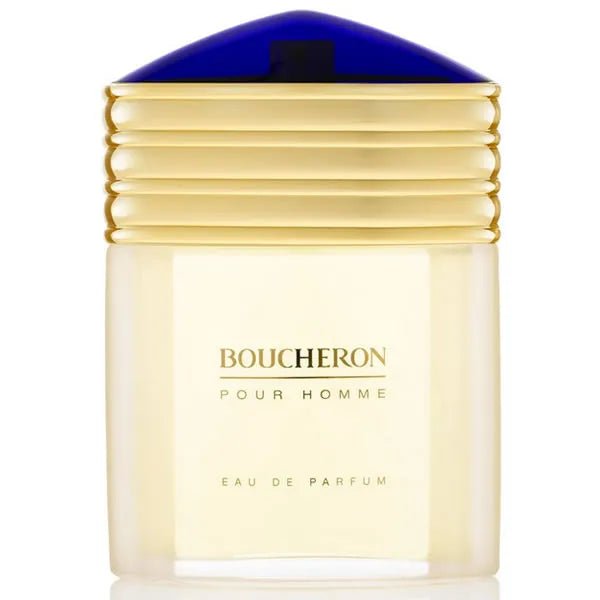 Boucheron Homme Eau De Parfum Vaporisateur 100ml - Afanaya