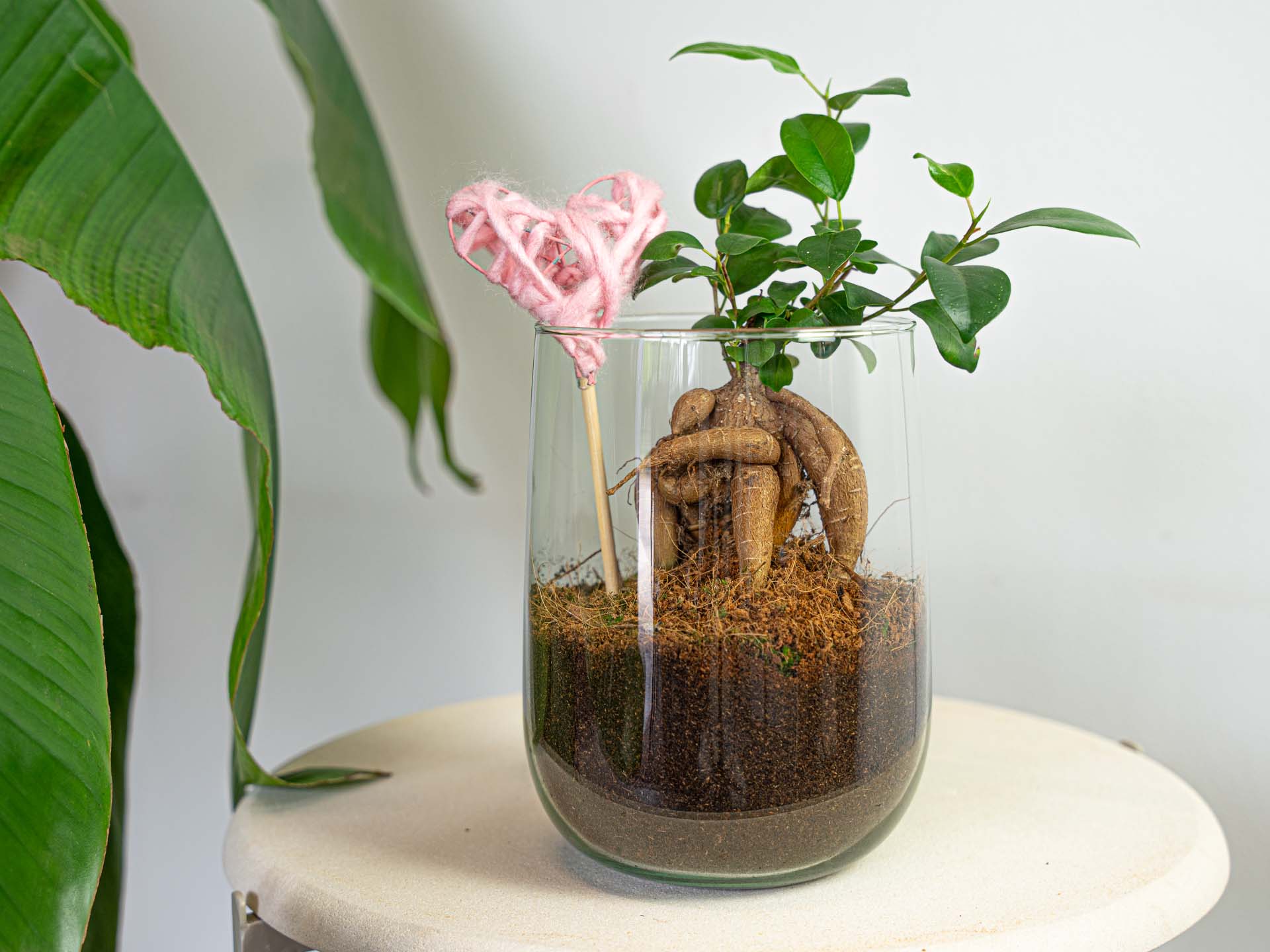 DIY Vase Kit Martin 17 cm Glass Arrangement Set - Afanaya