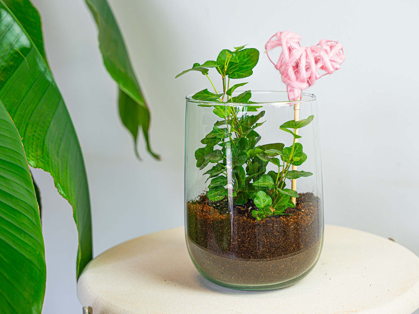 DIY Vase Kit Martin 17 cm Glass Arrangement Set - Afanaya