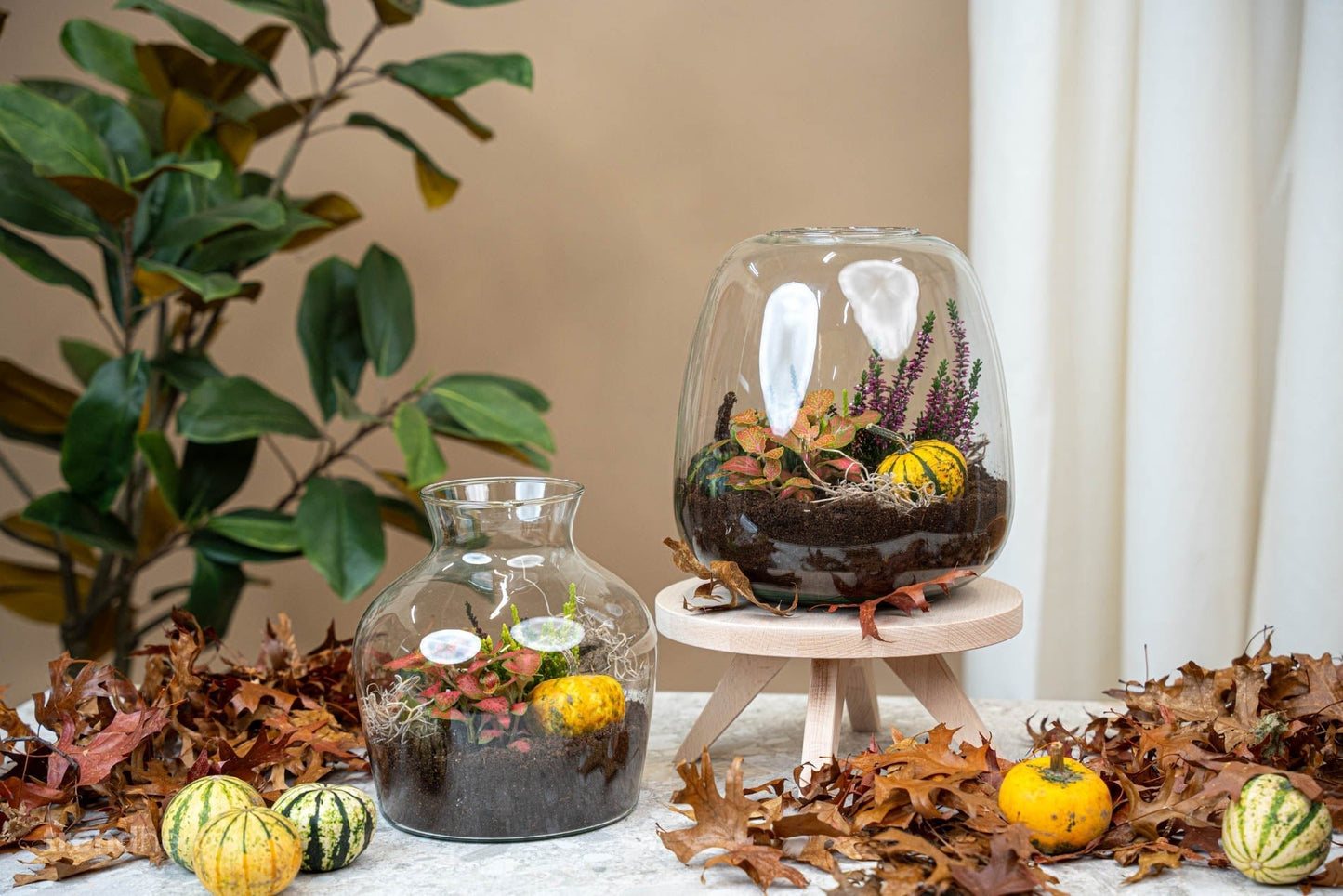 Emma Autumn - Glass Bottle With Autumn Plants And Mini Pumpkins - Autumn Bottle Garden Diy Kit - Ø 23 Cm ↑ 25 Cm - Afanaya