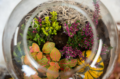 Emma Autumn - Glass Bottle With Autumn Plants And Mini Pumpkins - Autumn Bottle Garden Diy Kit - Ø 23 Cm ↑ 25 Cm - Afanaya