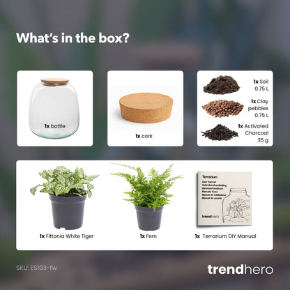 Emma Mini - Terrarium With Cork - Bottle Garden Diy Kit - Ø 19 Cm ↑ 20 Cm - Afanaya