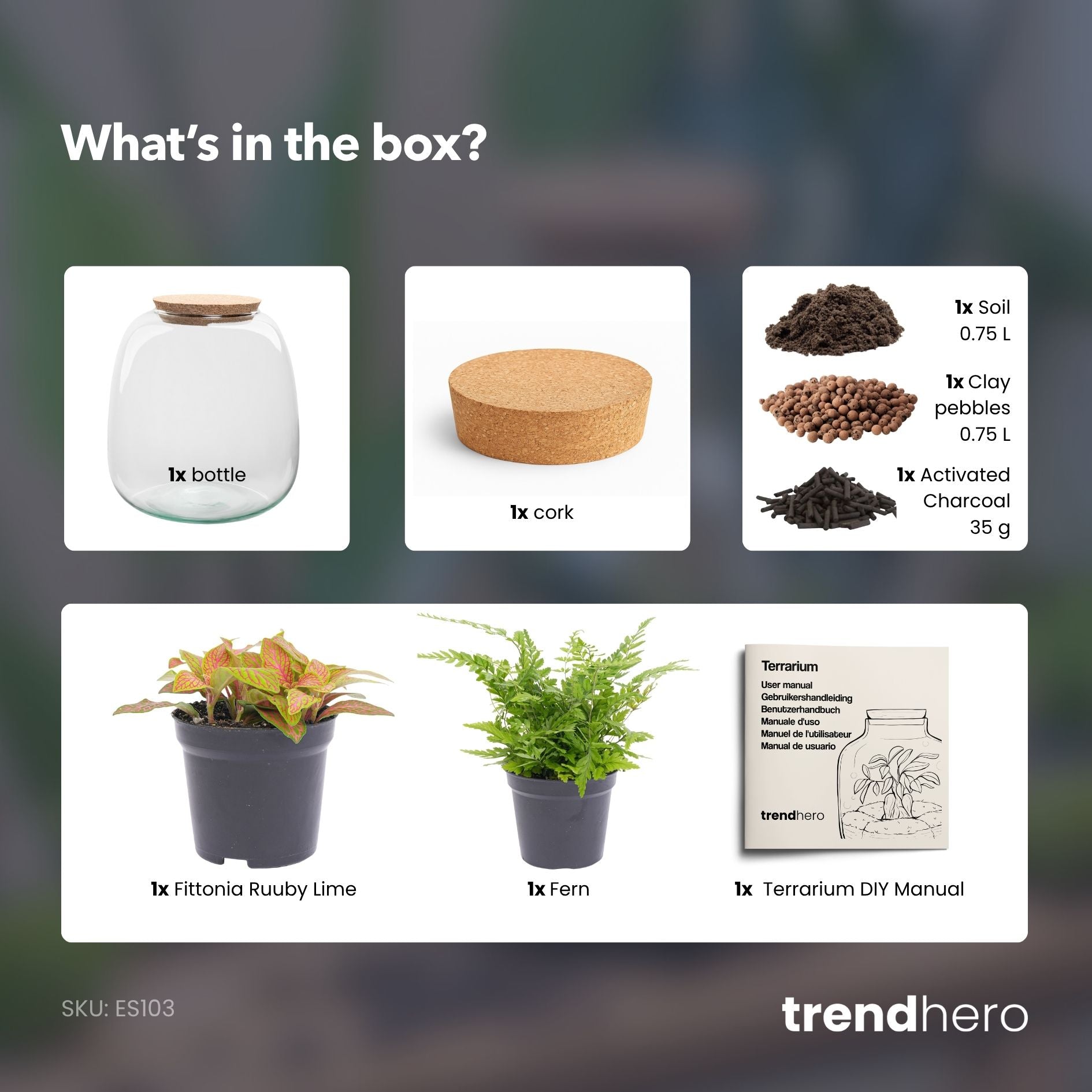 Emma Mini - Terrarium With Cork - Bottle Garden Diy Kit - Ø 19 Cm ↑ 20 Cm - Afanaya