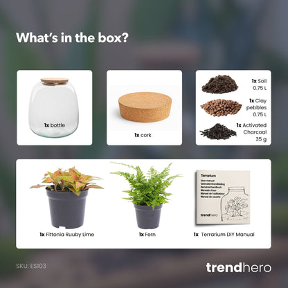 Emma Mini - Terrarium With Cork - Bottle Garden Diy Kit - Ø 19 Cm ↑ 20 Cm - Afanaya