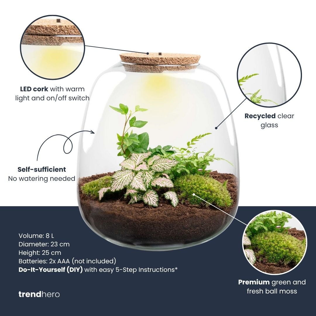 Emma - Terrarium With Light - Bottle Garden Diy Kit - Ø 23 Cm ↑ 25 Cm - Afanaya