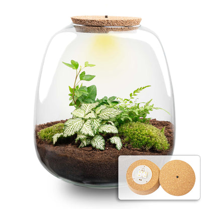 Emma - Terrarium With Light - Bottle Garden Diy Kit - Ø 23 Cm ↑ 25 Cm - Afanaya