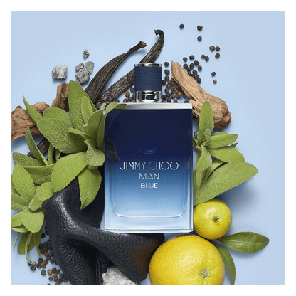 Jimmy Choo Man Blue Eau de Toilette 100 ml – Dynamic Woody - Aromatic Cologne for Men - Afanaya