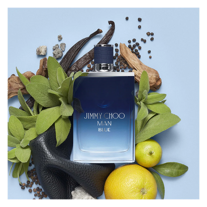 Eau de toilette Jimmy Choo Man Blue 100 ml – Eau de Cologne boisée-aromatique dynamique pour homme