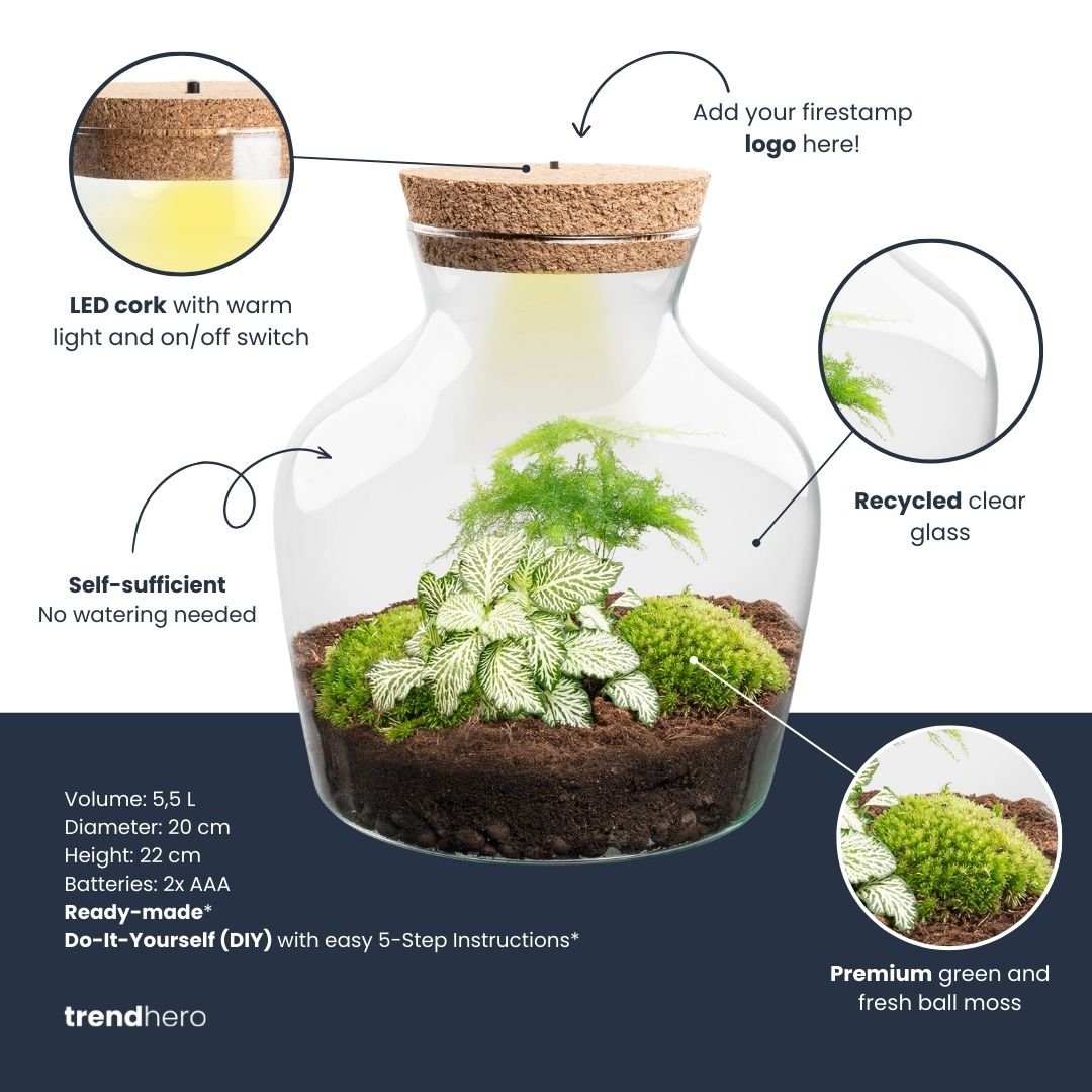Little Joe Terrarium Ø20×22 cm Elegant DIY Bottle Garden Gift for Home or Office Perfect Green Business Gift - Afanaya