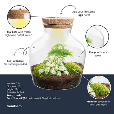 Little Joe Terrarium Ø20×22 cm Elegant DIY Bottle Garden Gift for Home or Office Perfect Green Business Gift - Afanaya