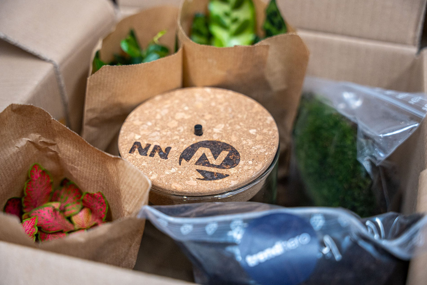 Little Joe Terrarium Ø20×22 cm Elegant DIY Bottle Garden Gift for Home or Office Perfect Green Business Gift - Afanaya