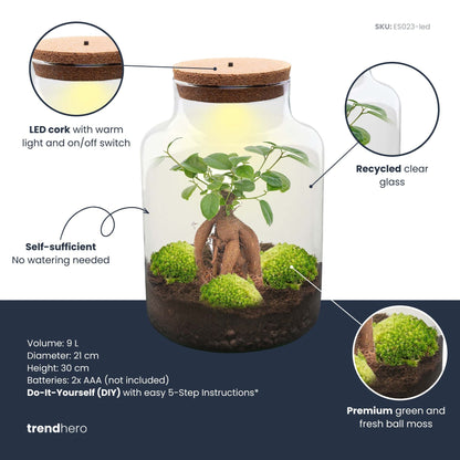 Milky Bonsai - Terrarium - Bottle Garden Diy Kit - Ø 21 Cm ↑ 30 Cm - Afanaya