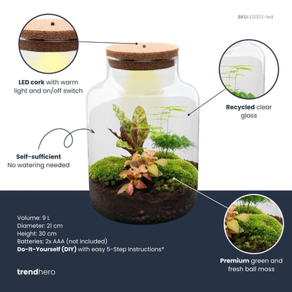 Milky - Terrarium - Bottle Garden Diy Kit - Ø 21 Cm ↑ 30 Cm - Afanaya