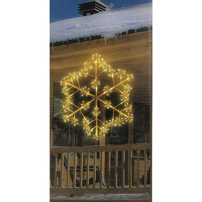 Sneeuwvlok 80Cm - 288Led - Afanaya