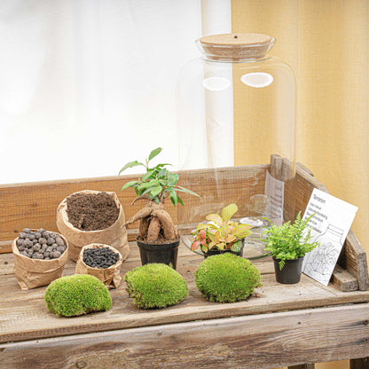 Terrarium DIY Kit Sven Ginseng Bonsai XL Bottle Garden with Light 43cm Tall - Afanaya