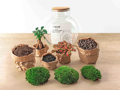 Terrarium DIY Kit Teddy Bottle Garden with Bonsai Elegant Indoor Plant Décor Height 26.5 cm - Afanaya