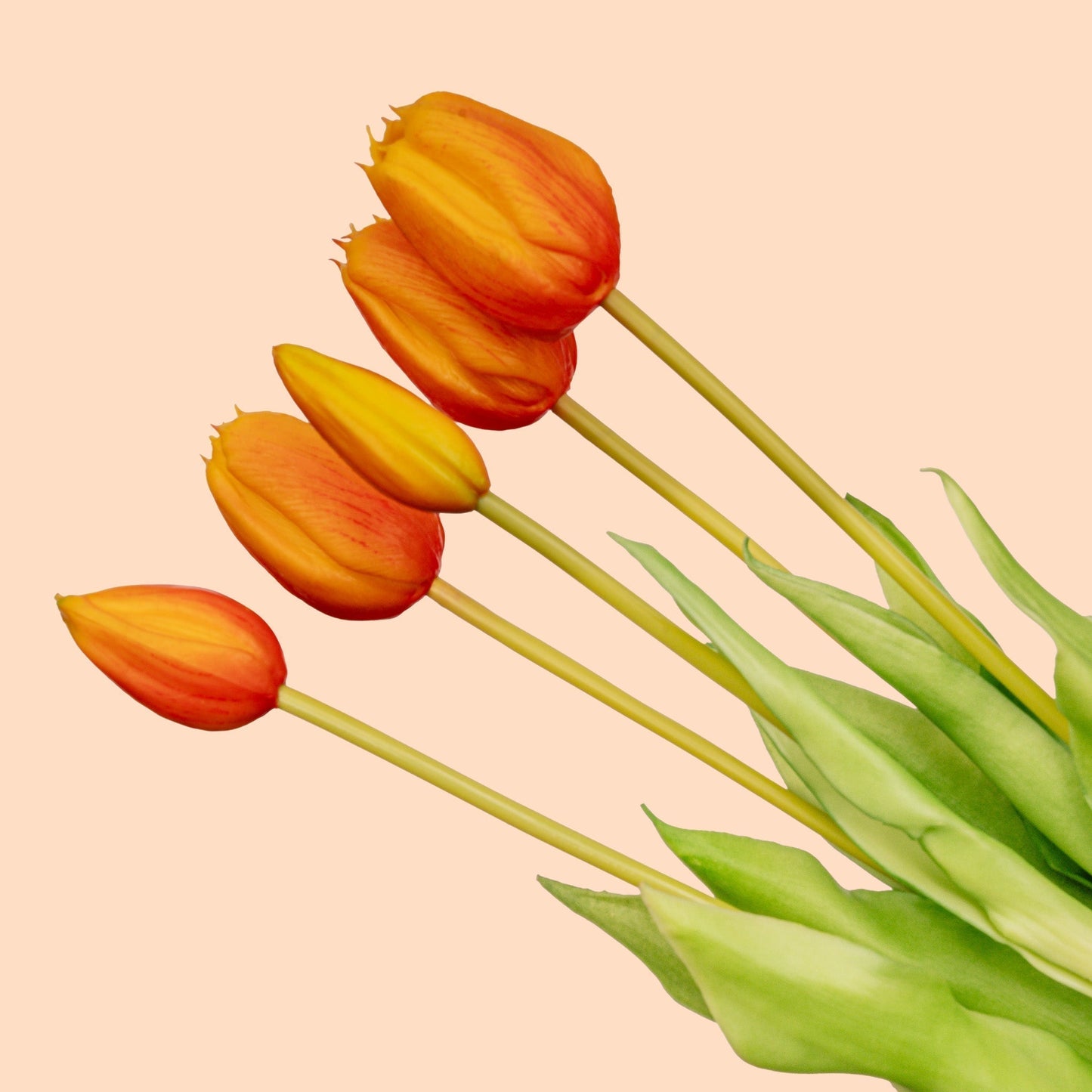 Tulip Bouquet – 5 Pieces – Various Colours – ‘Real Touch’ Artificial Tulips – 42 Cm - Afanaya